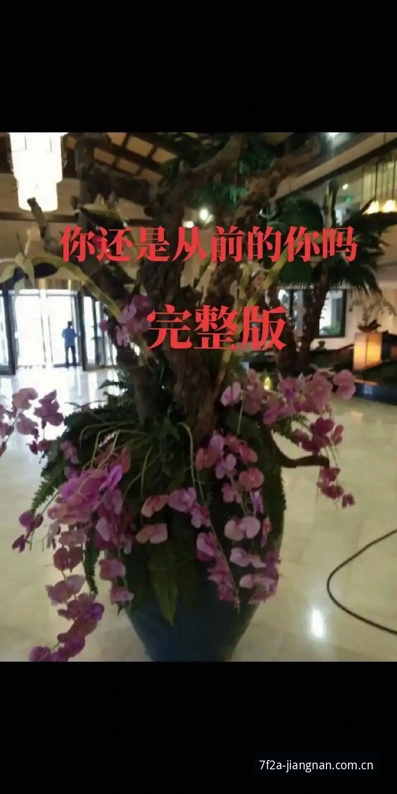 江南APP真实评价到底怎么样？从45.6 MB安装包到v2.1.0实测全记录